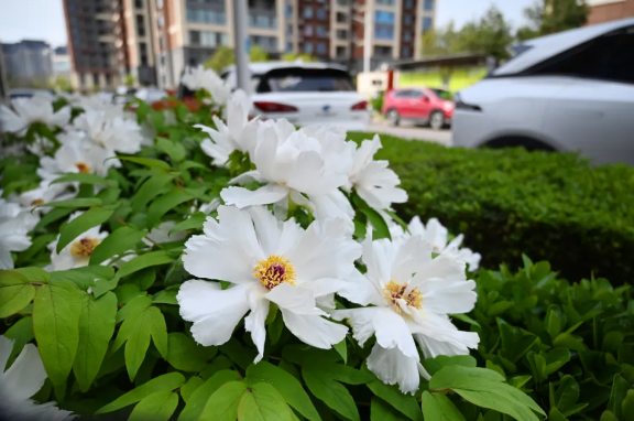 1719192804330180.png image.png